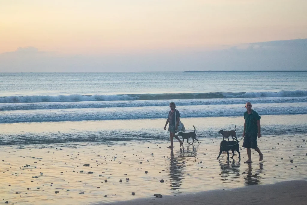 Things to do in Canggu Bali including beaches and sunsets
