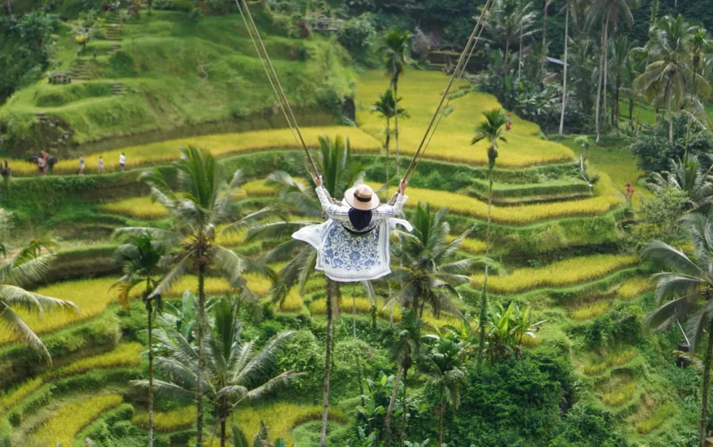 Things to do in Ubud Bali including rice terraces temples and cultural attractions
